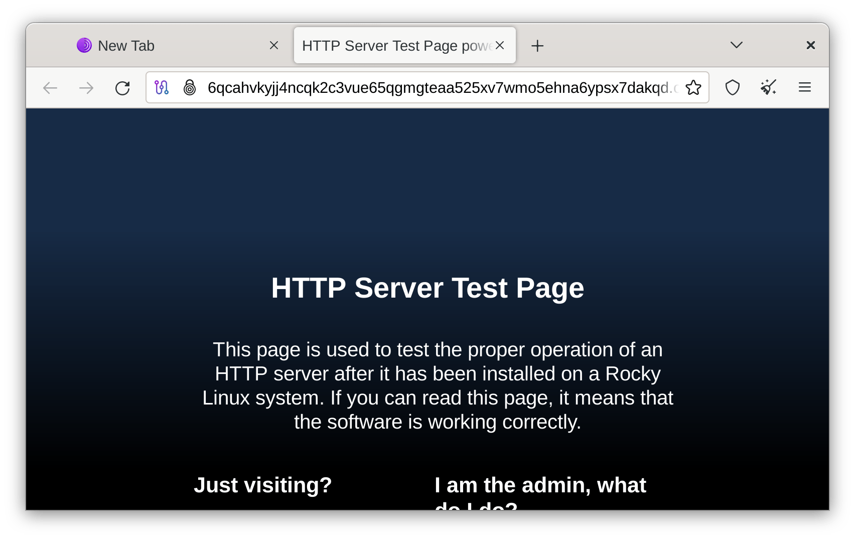 Tor Browser showing our Onion Service